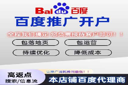百度SEM广告投放效果评估的案例分析